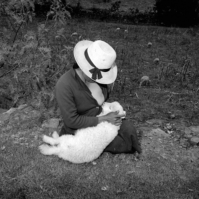Illustration for article titled Rosalind Solomon - bravery through photography